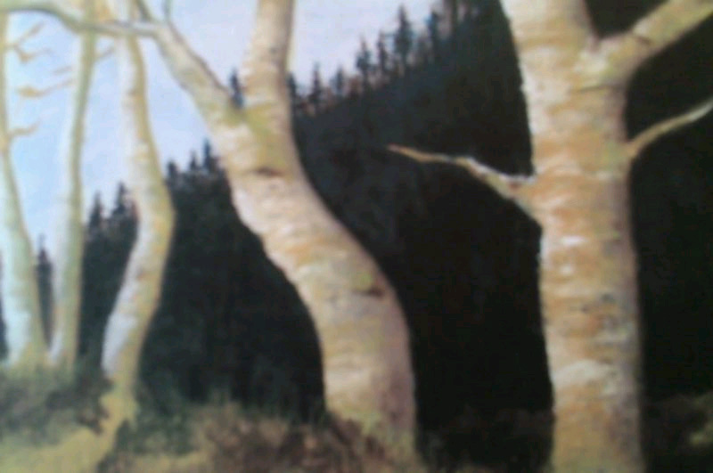Galerie